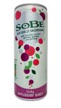SoBe Naturally Energising Fruity Appleberry Burst